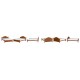 Wooden Double cot Wooden Double cot