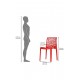Supreme Web Plastic Chair ( set of 2) Supreme Web Plastic Chair ( set of 2)