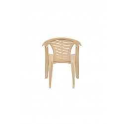 Supreme citizen plastic chair ( set of 2)