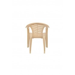 Supreme citizen plastic chair ( set of 2)